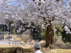 -醍醐寺