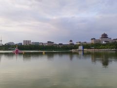 -莲花池公园