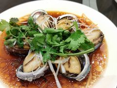 小鲍鱼-新海利(北岭店)