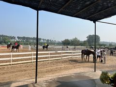 -月河湾马术俱乐部(朝阳店)