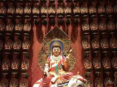 -新加坡佛牙寺龙华院