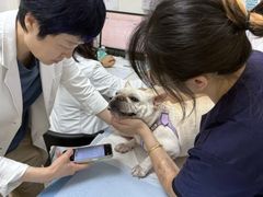 -美联众合动物医院·24h转诊中心
