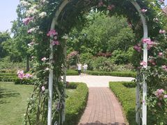 -昆山城市生态森林公园