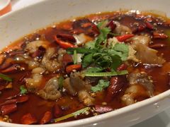 -杨氏青龙虾·羊蝎子(金盛路总店)