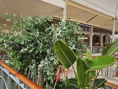 -新华百货CC Park购物广场