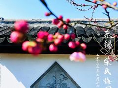 -无锡梅园公园