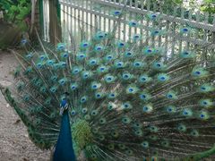 -荆州中山公园动物园