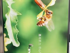 -惠耳听力助听器(南京惠耳国际听力中心)