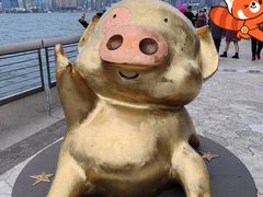 -星光大道