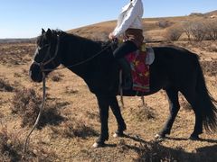 -塞罕坝国家级自然保护区