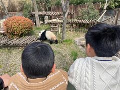 -茱萸湾风景区-售票处