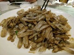 -麦船长