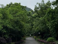 -唐师傅湘西名菜馆(武陵路店)