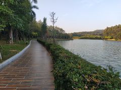 -南国桃园旅游度假区