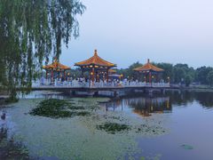 -长春市南湖公园