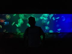 -成都浩海立方海洋公园