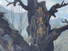 -龙湾潭国家森林公园