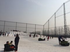 -万源龙顺度假庄园生态观光园