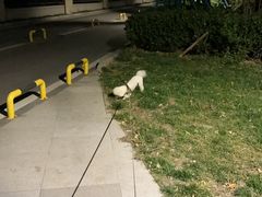 -陇上全荟兰州传统牛肉面(延吉路店)