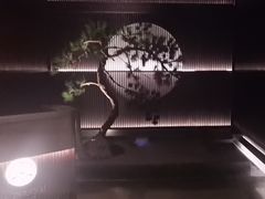 -大拙里·精致融合菜(沙湖桃源国际店)