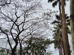 -三亚市第二中学