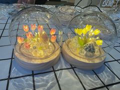 -奔驰波士福达(石景山店)