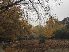 -四川大学(华西校区)