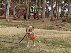 -白沙门生态公园