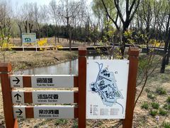 -东郊湿地公园