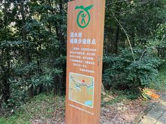 -滴水岩森林公园