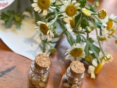 -饵块食光·云南有机手作饵块