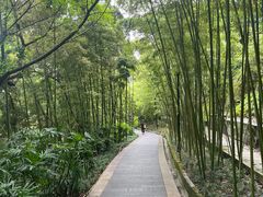 -龙头寺公园