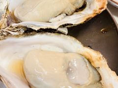 爱尔兰生蚝-白仁仔· 活烤海鲜 宵夜(豫园店)