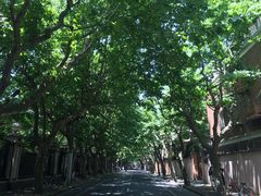 -星巴克臻选(思南公馆店)