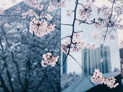 -龙美术馆(西岸馆)