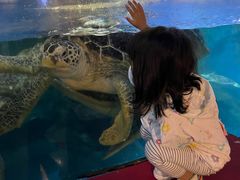 -烟台海昌鲸鲨海洋公园