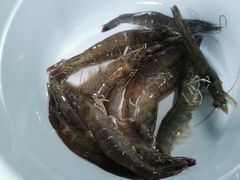 -鑫朱雀农贸批发市场