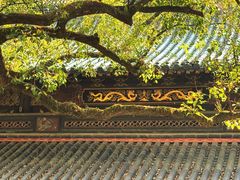 -普陀山风景名胜区-法雨禅寺