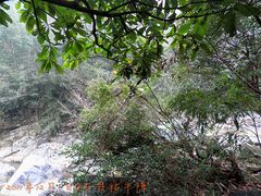 -祁门牯牛降观音堂风景区