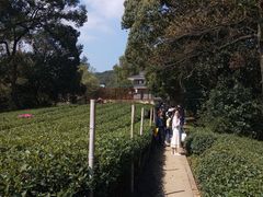 -西湖风景区十里琅珰-五云山