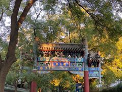 -北京国子监胡同