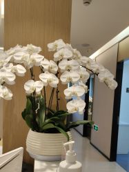 -Yestar杭州艺星医疗美容医院