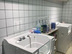 -老吴的猫·猫舍(新区店)