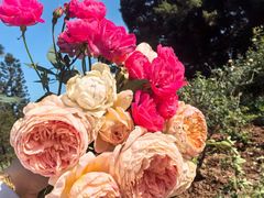 -人民公园(罗湖区)