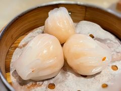 勝利蝦餃皇-广东胜利宾馆西关粤中餐厅