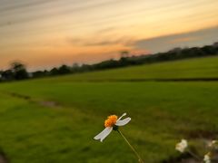 -低涌(地铁站)