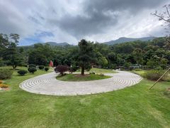 -深圳仙湖植物园
