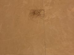 -无锡君来洲际酒店