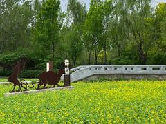 -北坞公园