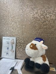 -上海首尔丽格医疗美容医院